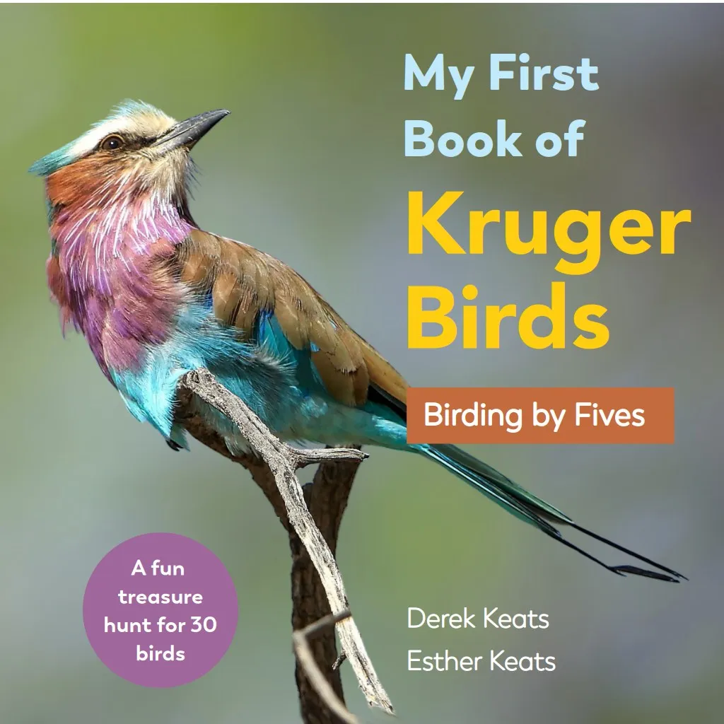My First Book of Kruger Birds: Birding by Fives