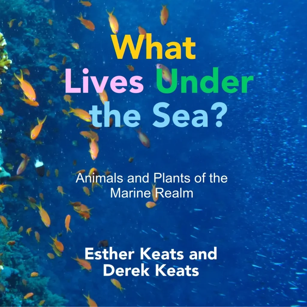 Cover with coral reef scene