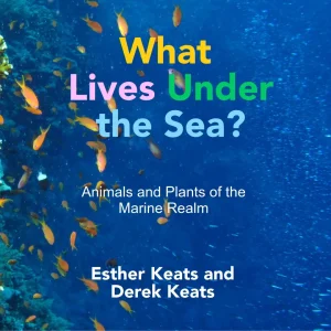 Cover with coral reef scene