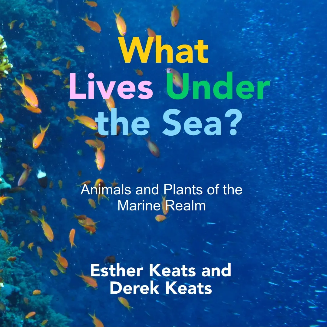 Cover with coral reef scene